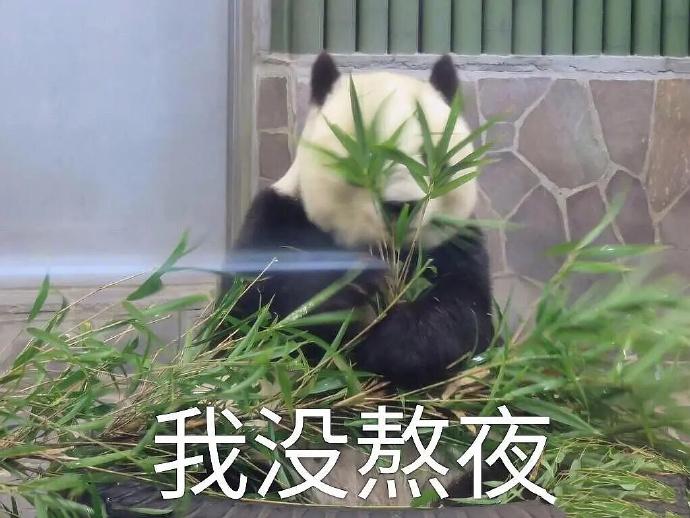 猥瑣微信文字表情金館長表情包