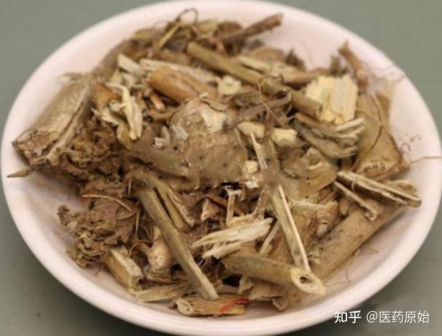 带你识别颠茄草 - 知乎
