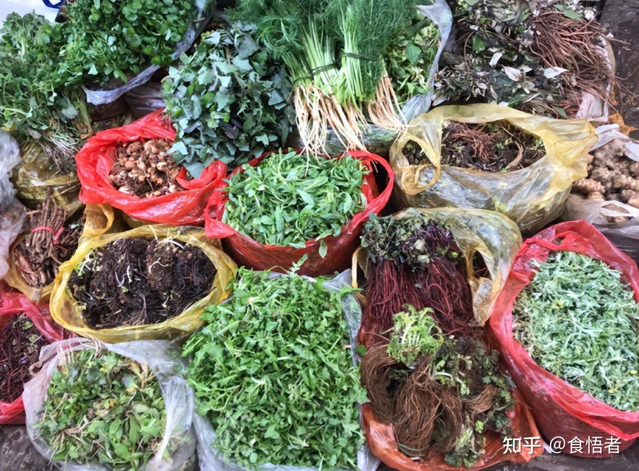 作物图鉴》总类238种,云南都有,而云南还有自己特有的蔬菜,比如山葵