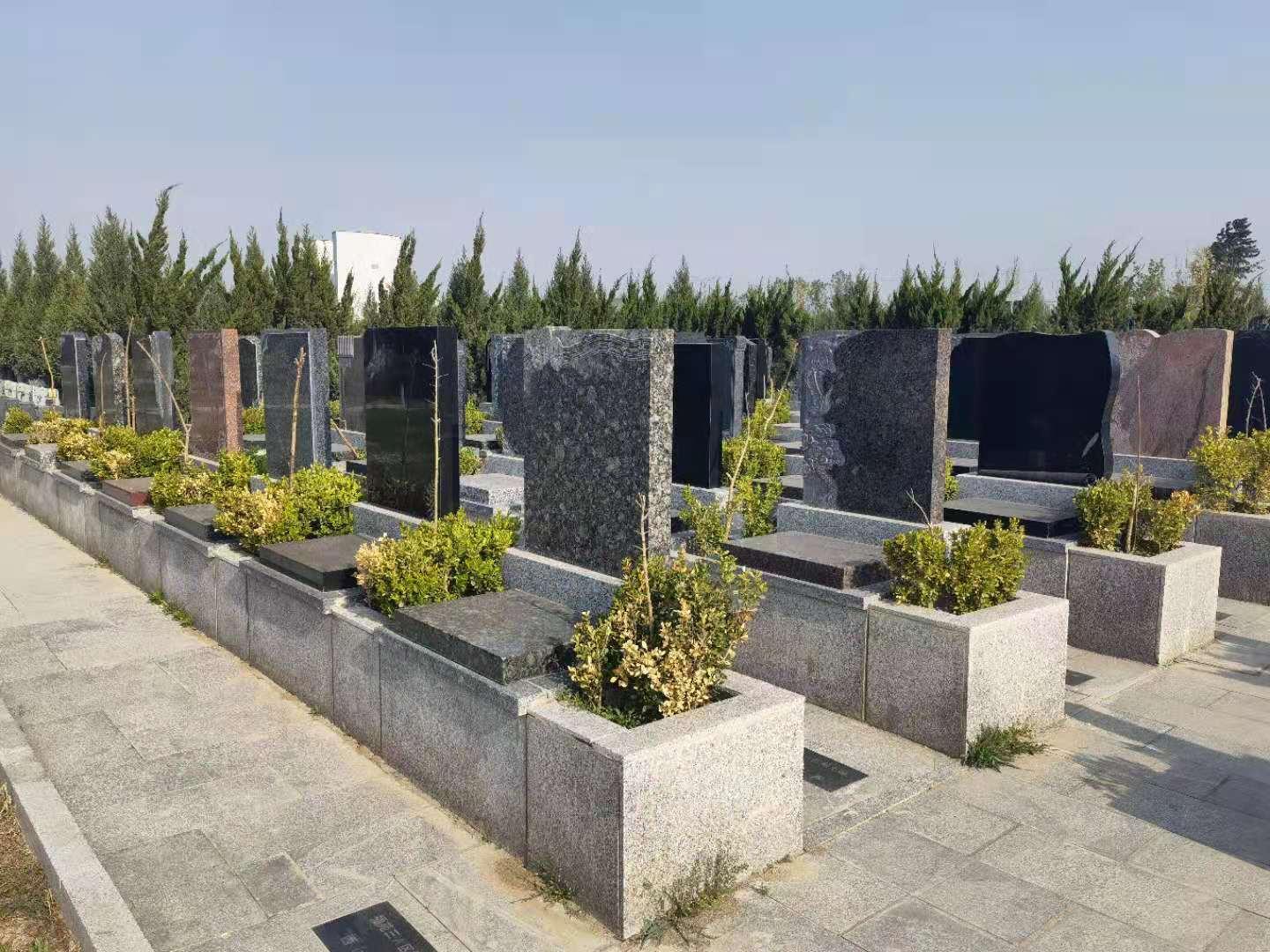 重庆合川卧龙公墓图片