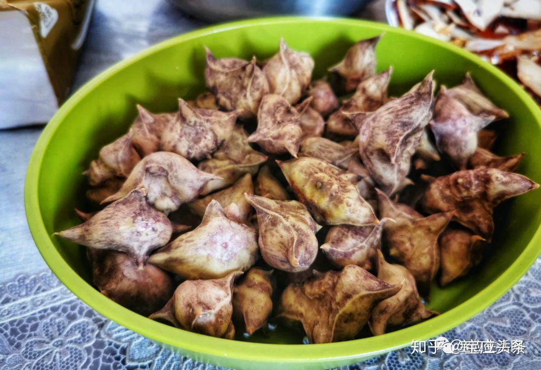 是水乡的特产,是一种个头小,四面有五尖锐的芒刺的菱角,宝应人叫"野菱