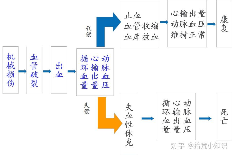什么是疾病？人的疾病可以分为几类？当人生病时，疾病的发生、经过及结局是怎样的？我们一起来了解一下疾病发生发展的基本规律吧！ - 知乎