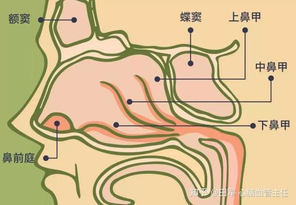 劝你别再挖鼻孔了 看完这篇文章你可能想剁手 知乎