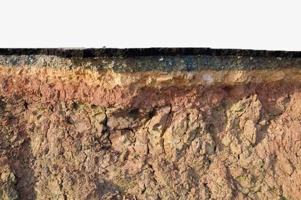 今天你吃土了吗嘿嘿