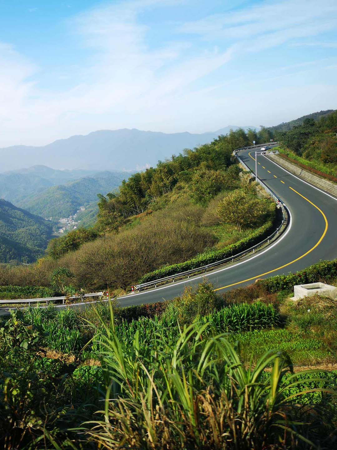 浙江最美自驾公路浦江图片