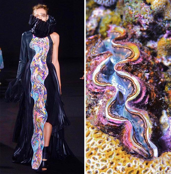 服装设计丨大自然中充满了源源不断灵感看看这些有趣设计灵感来源吧