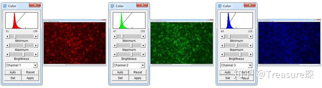 Imagej Color Balance ImageJ实用技巧——明场图片白平衡(基础功能篇) - 知乎