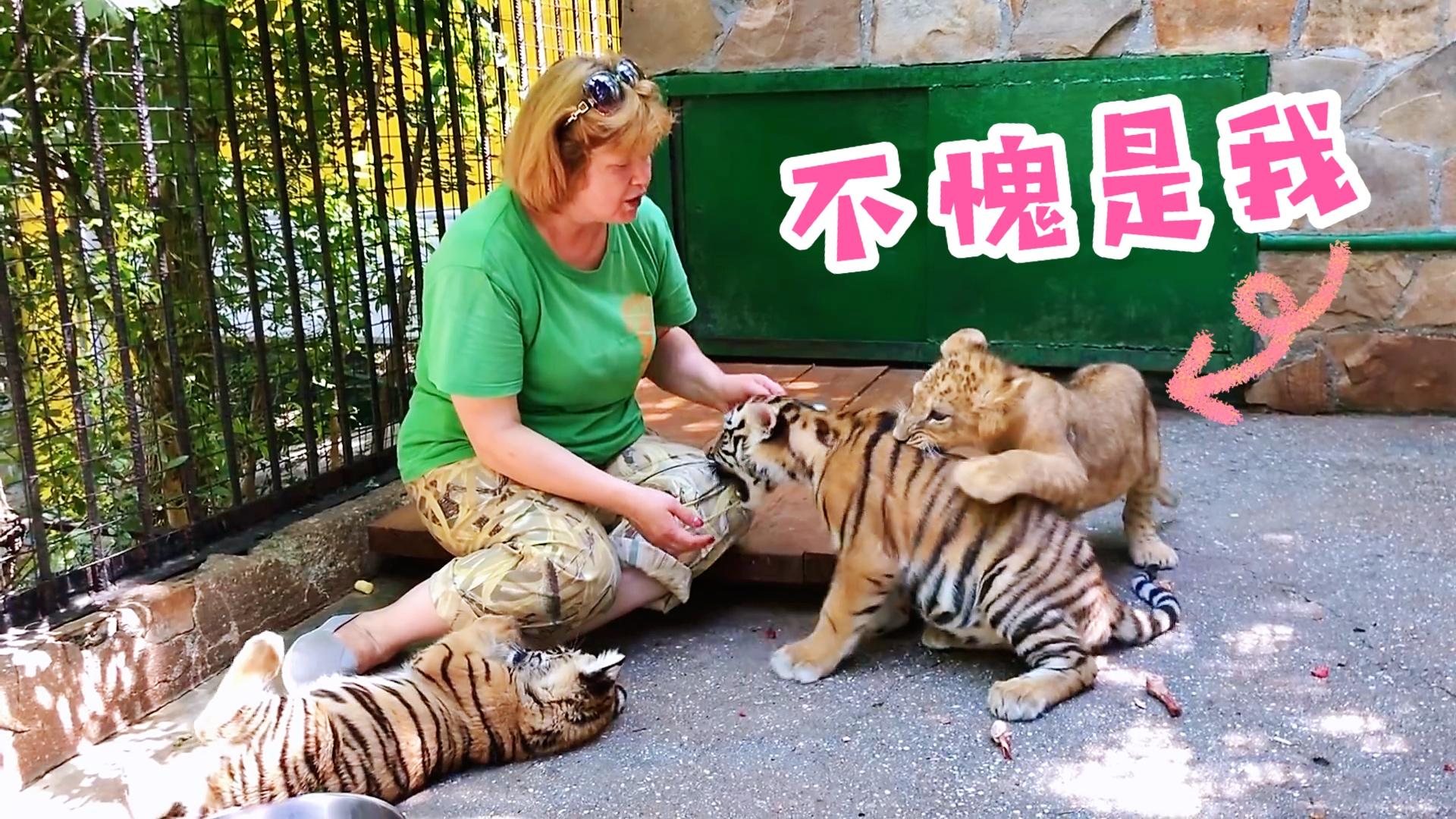 上海动物园熊吃饲养员图片