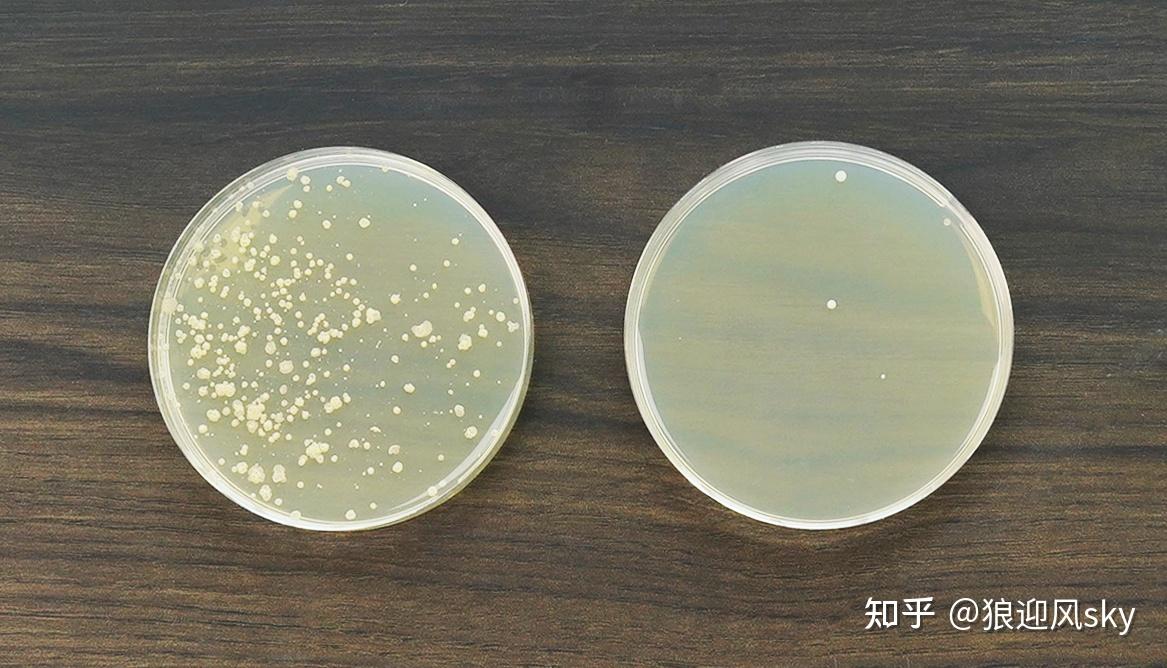 5款国内外大牌空气净化器深度数据测评,怎么选最适合你家?-各大空气净化器评测视频