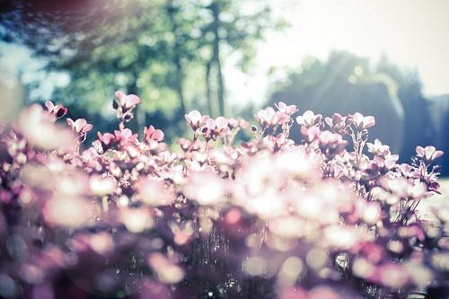 v2-93c8a59430f05821fe50d3c63f3d98ca_r.jpg