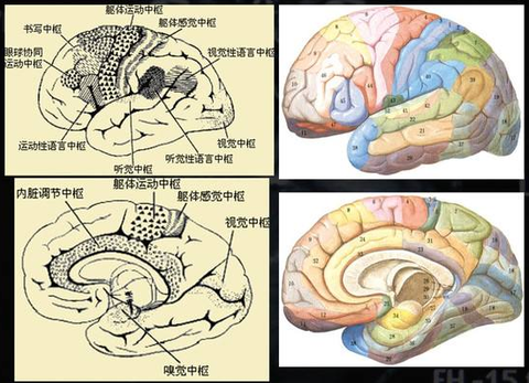 做梦时,有没有可能在没有任何外部干预的情况下随时控制自己醒来?