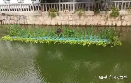 39个经典城市黑臭水体整治案例详解