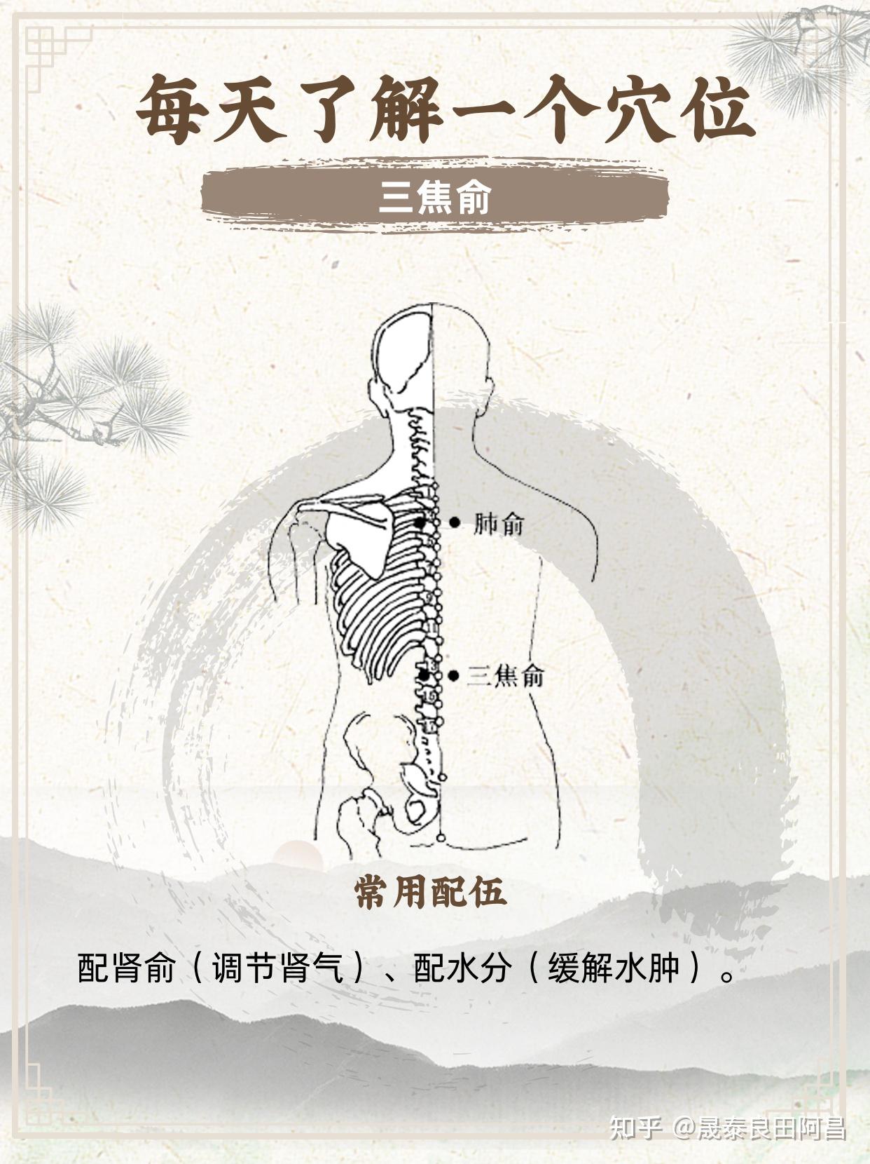 三焦俞穴:缓解水肿、腰痛,改善消化不良 - 知乎