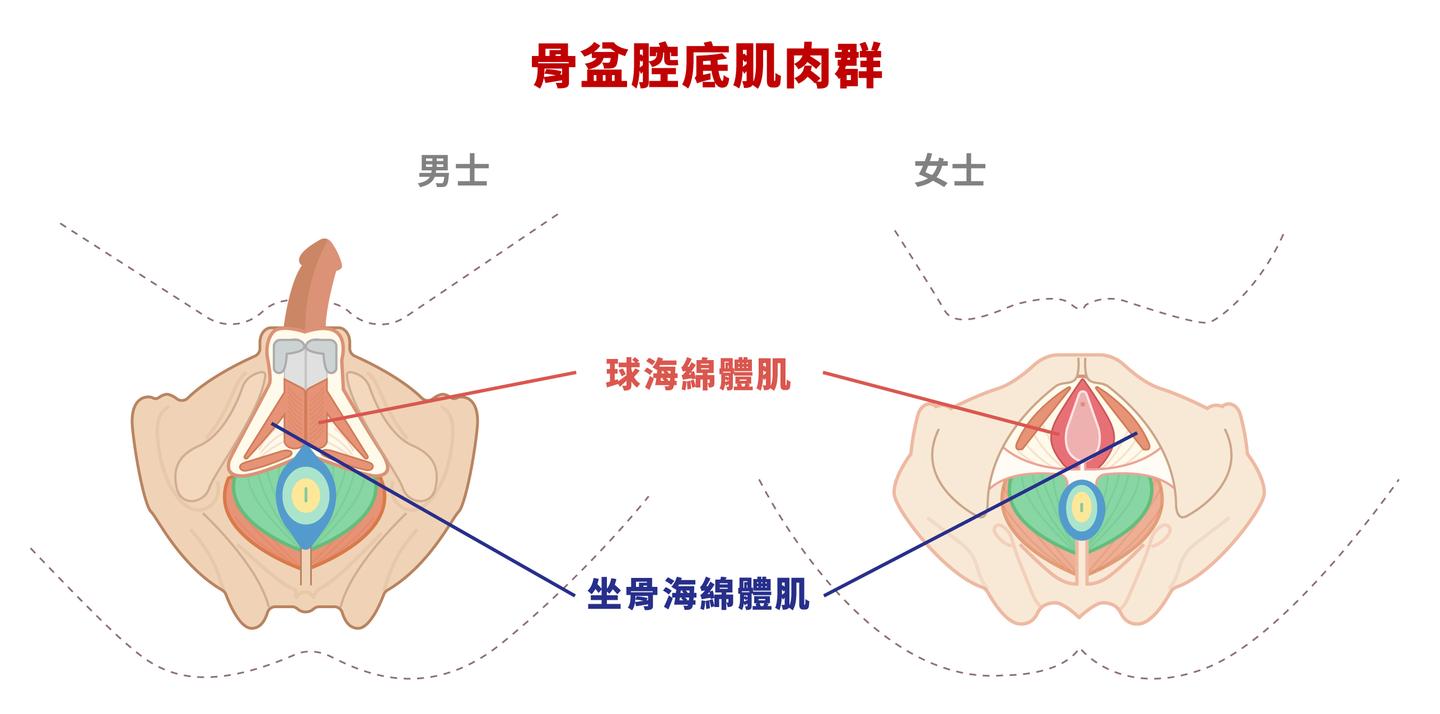 v2-93f8cbe0d045d6f437a1e01eb5a00179_1440w.jpg?source=172ae18b