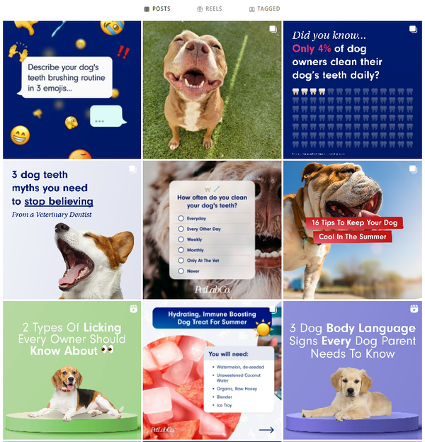 以PetLab Co.为例，探究宠物DTC品牌如何通过品牌思维赢得同品类最佳？ 知乎