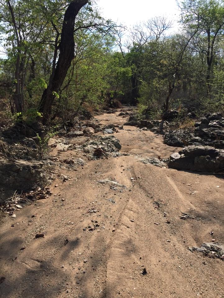 华为为什么这么重视非洲市场?