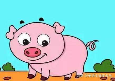 pigout是豬跑了盤點和豬相關的俚語