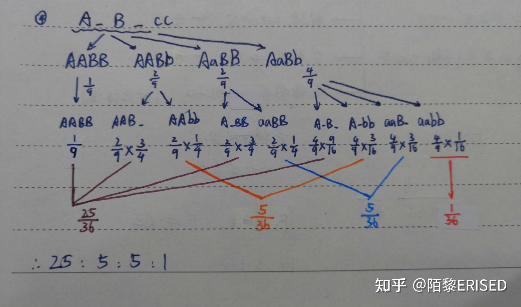 自交图解怎么画图片