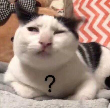 我不过是只任人摆布的小猫咪罢了.69 人赞同了该文章槑槑子