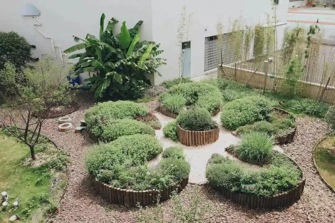 从食农运动到可食地景食物作为一种自给自足的生存方式
