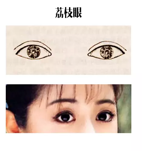 眼角较钝圆,黑眼珠和眼白露出较多,标准眼型的女生显得漂亮,给异性的