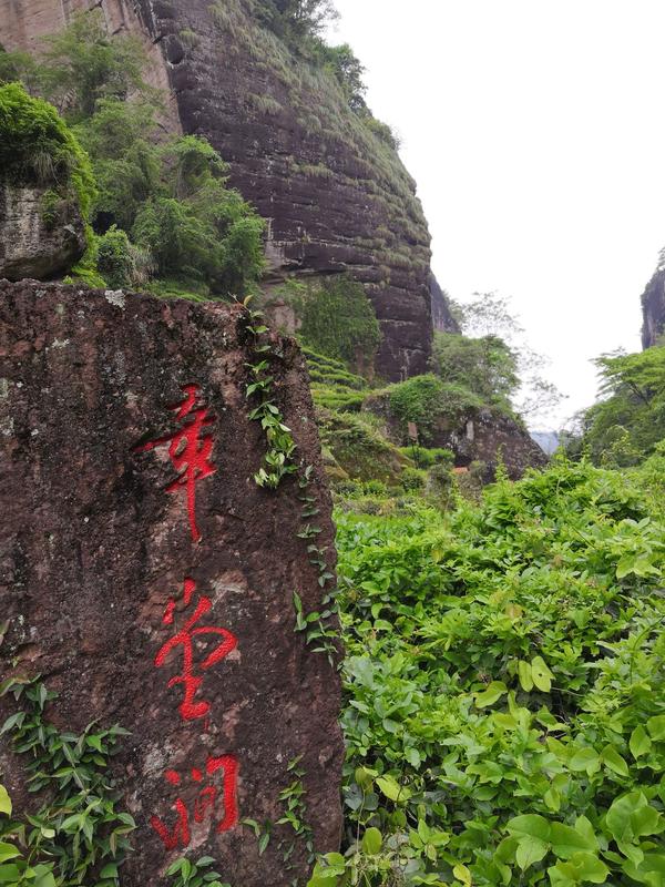 武夷山岩骨花香漫游道