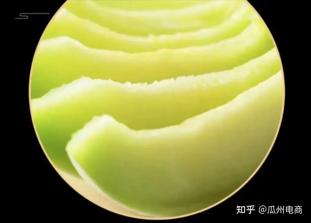 瓜州银蒂白兰瓜，蜜瓜中的哈根达斯 - 知乎