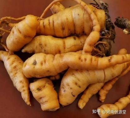 九蒸九晒怀地黄:拥抱健康养生新“食”代 - 知乎