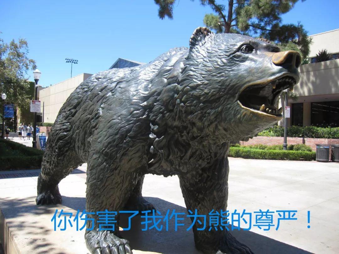 向ucla棕熊泼油漆的两位少年竟然将面临三年监禁的起诉