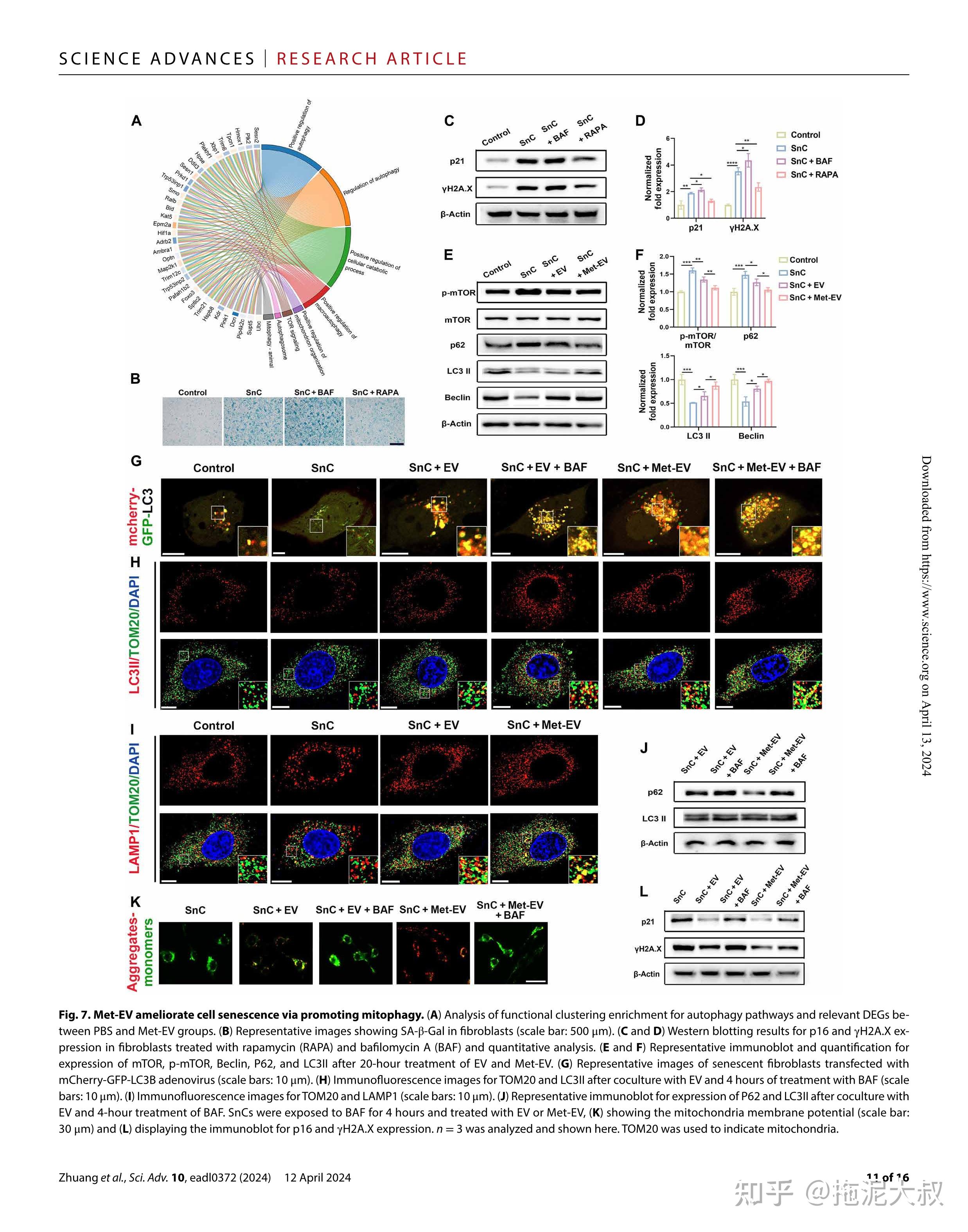 cnsv zhuanlan.zhihu.com