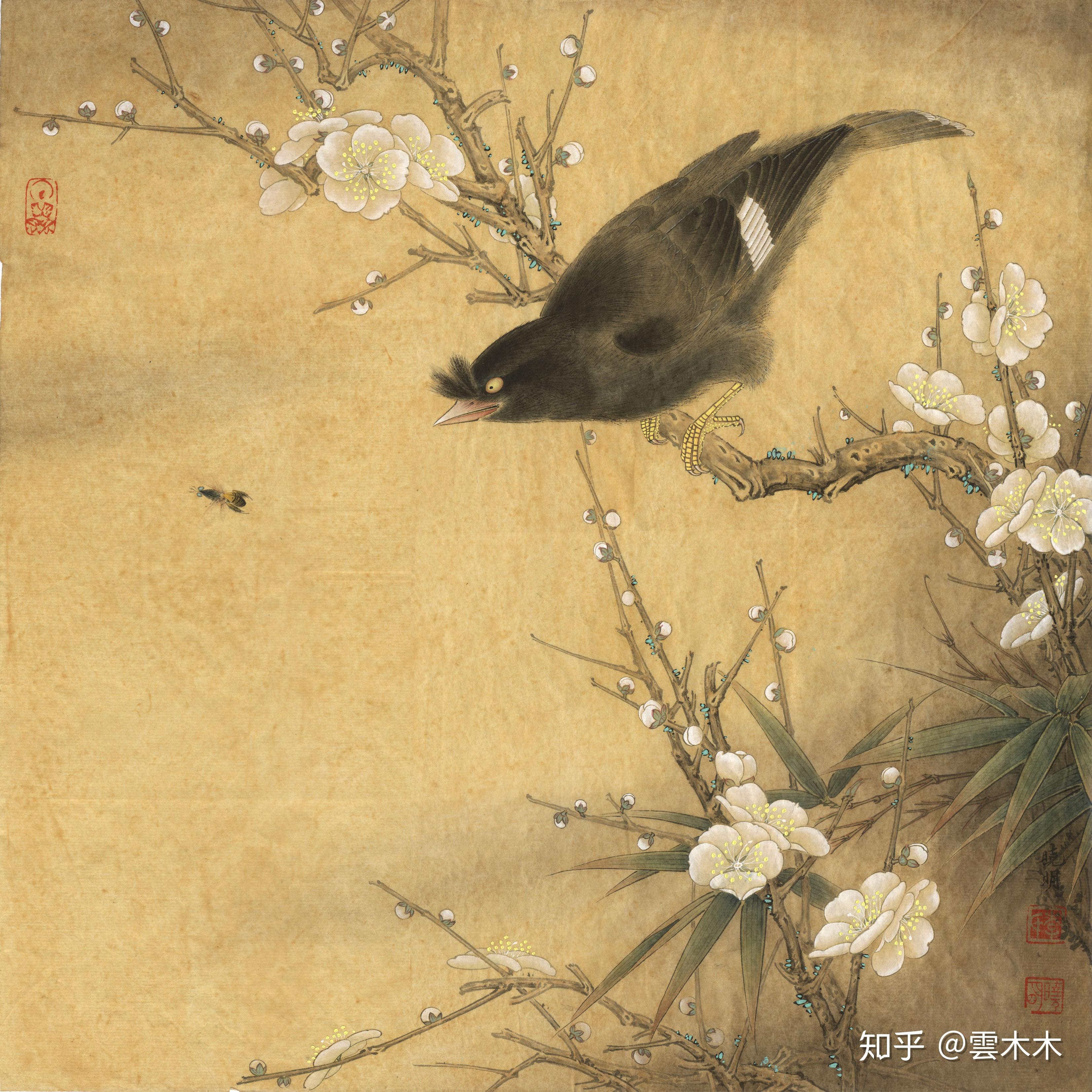 宋小品白梅鸲鹆图绘制步骤