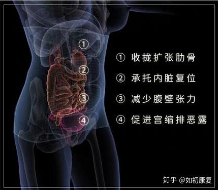 肚子脂肪堆积怎么解决 v2-9467d29e855e0482e69a853f85c5a98e_r.jpg