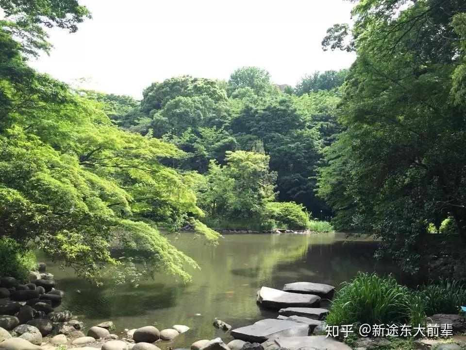 三四郎池图片