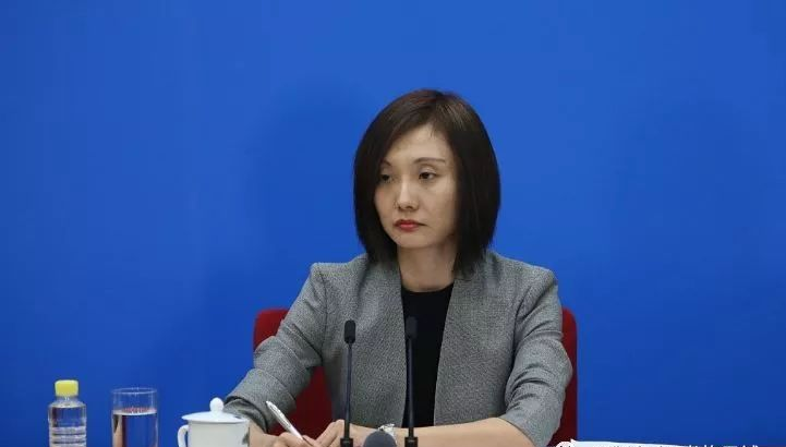 那些在两会翻译的女神男神们