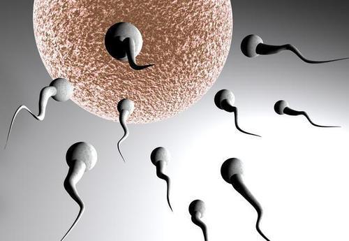 提高卵子质量：掌握10个改善女性生育力的关键步骤 (提高卵泡数量和质量的方法)