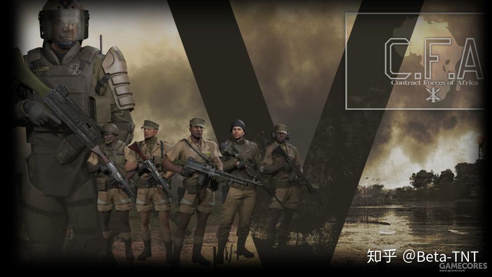 非洲私人武装(《幻痛》)