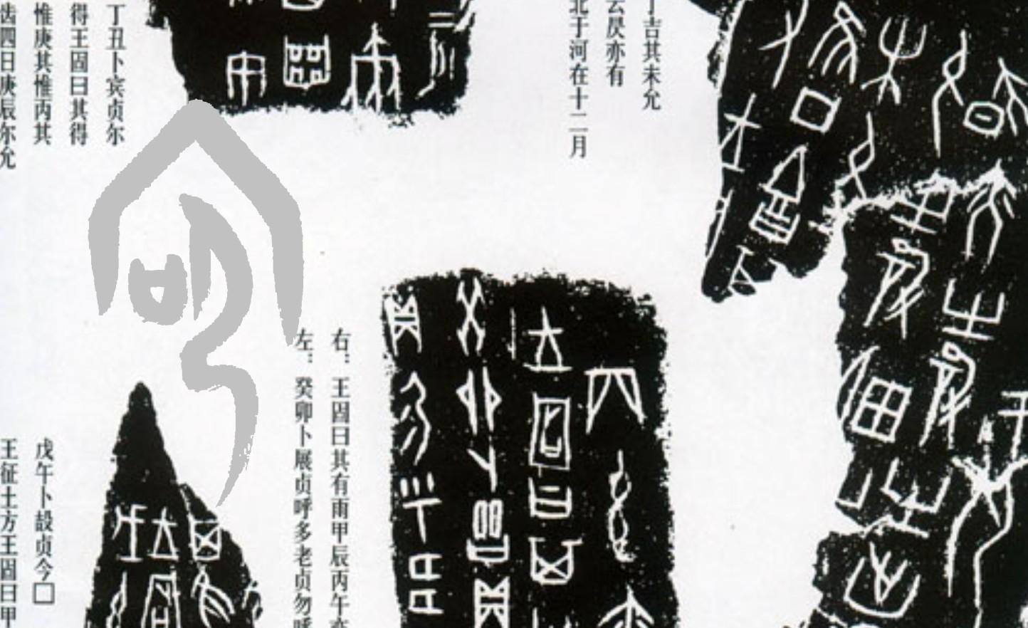 甲 骨 文—你 好 美 - 知乎