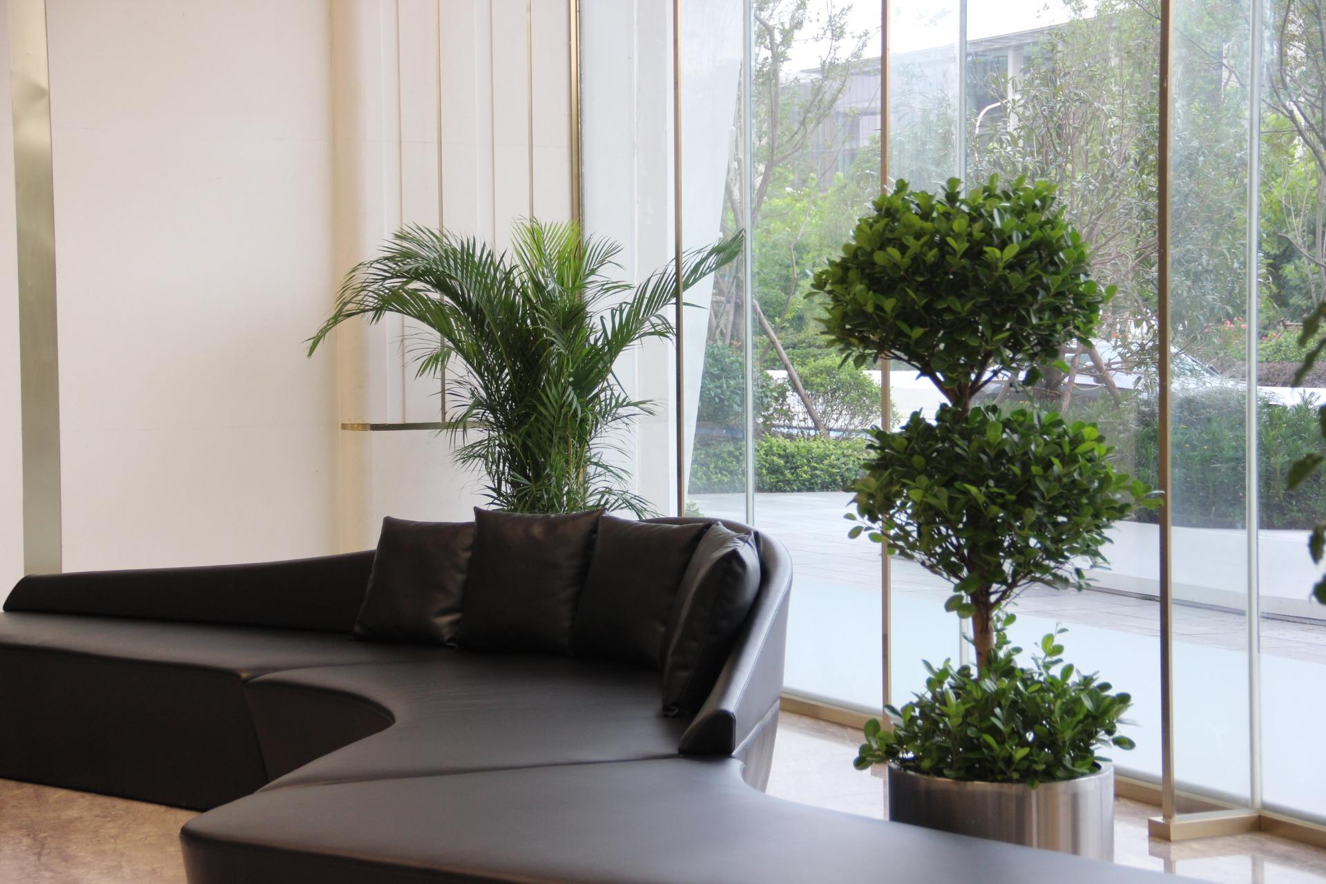 宽敞明亮的大厅,前台,办公室等,充满现代化的冷淡疏离感,用盆栽绿植
