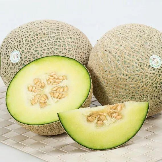 哈密瓜怎么吃才最甜 v2-94d3b96ea9e5d69ca55a633a767acbce_r.jpg