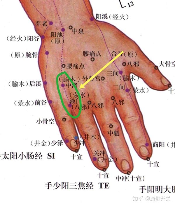 眉棱骨疼痛按揉方法 知乎 眉棱骨疼痛按揉方法 知乎