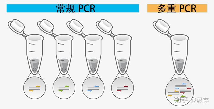 一步法多重pcr试剂盒 （基于探针），优秀 知乎 2808