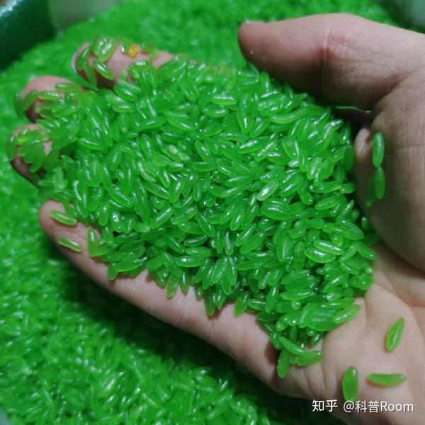 从3到1再到136! 苦心研究四十载!竹稻成功名扬海内外! - 知乎