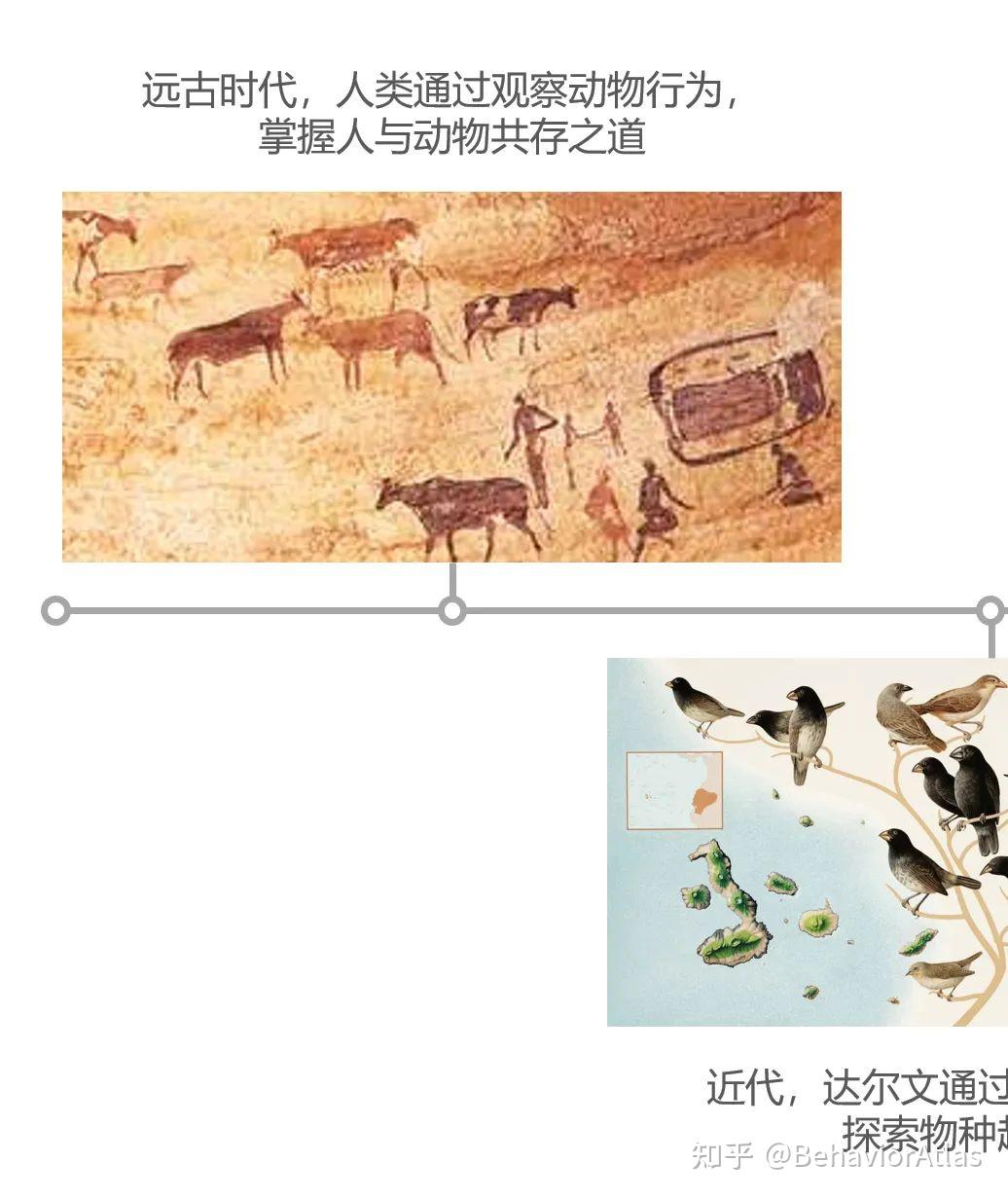浅谈动物行为学研究方法的过去、现在和未来 - 知乎