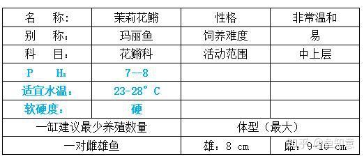 玛丽鱼你知多少