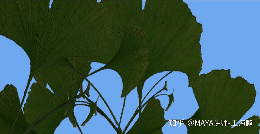 树叶透明贴图的制作原理及渲染! - 知乎