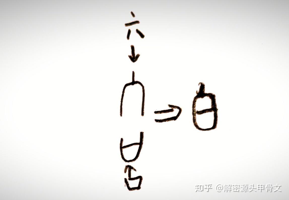 白的甲骨文 白字图片