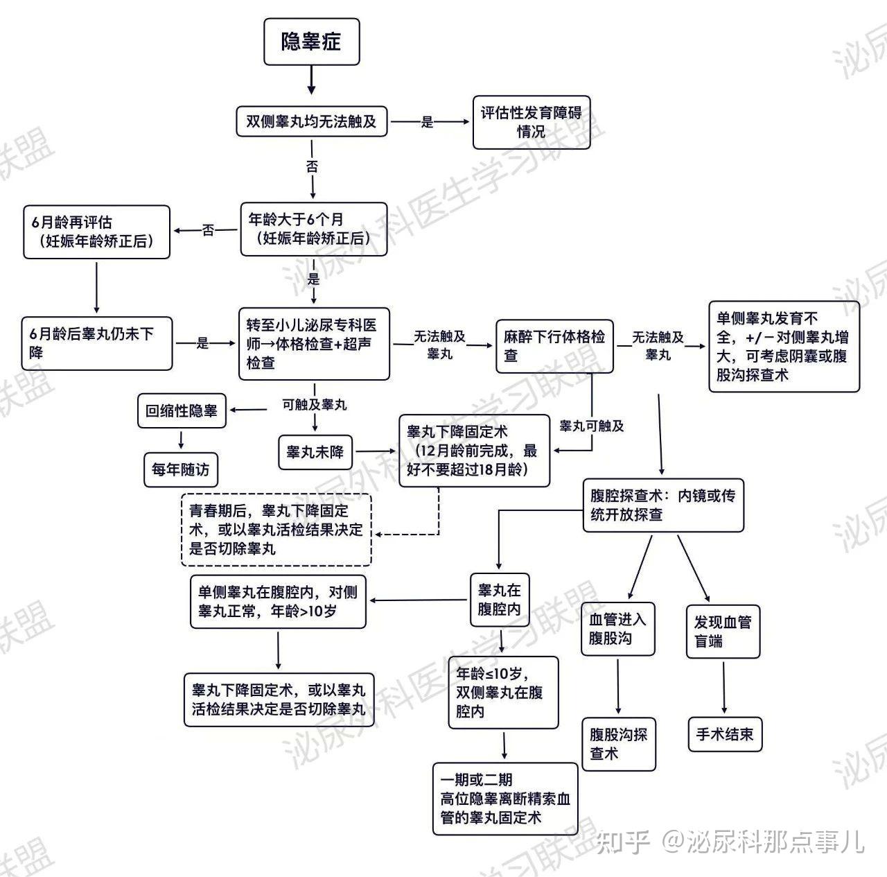 图4-9 隐睾(CT)-泌尿科学-医学