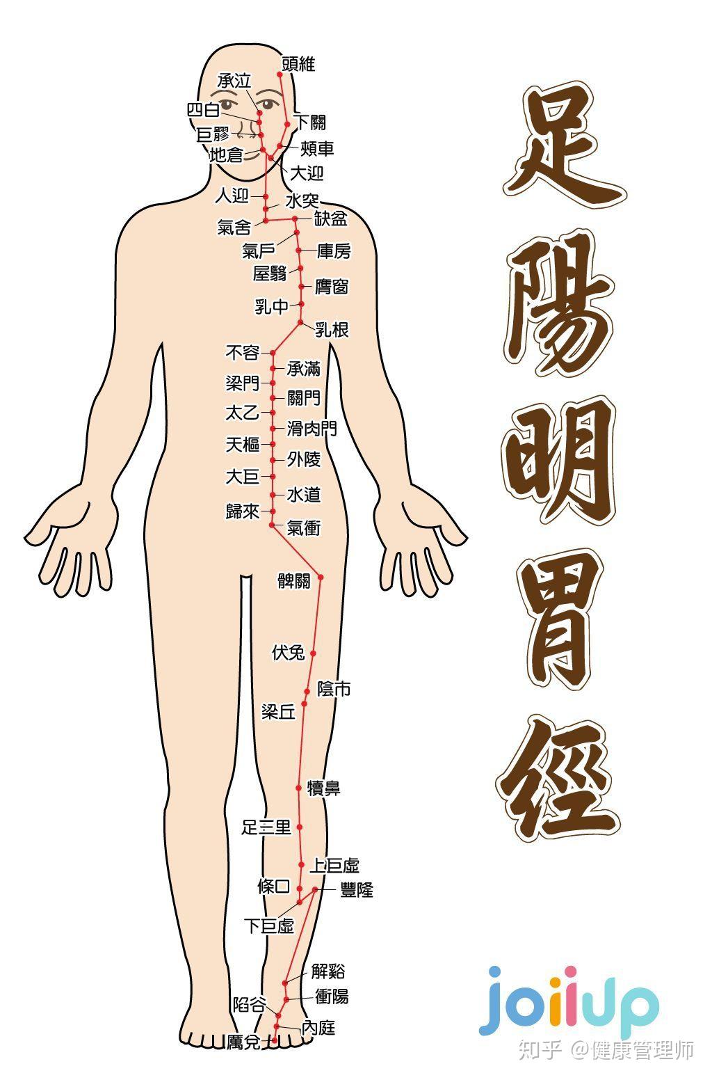 只要我们平常敲打两条经络