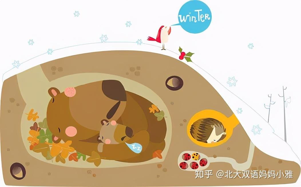 简单英文给孩子讲冬眠乌龟熊青蛙谁挖洞谁不呼吸谁生宝宝