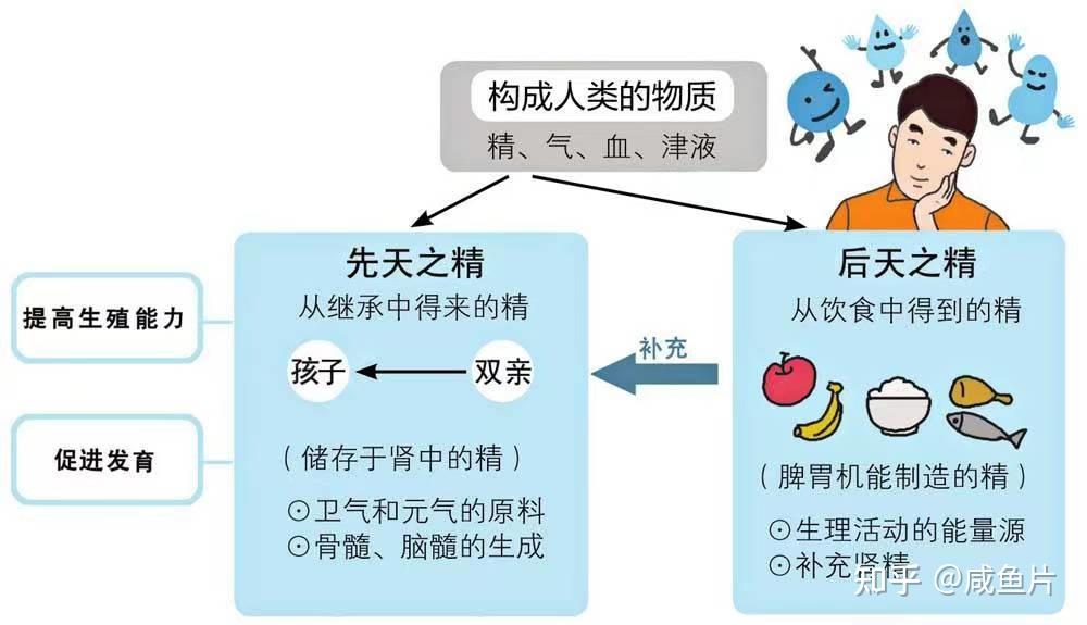 气血是什么?气和血有什么关系?气血不足怎么吃? - 知乎